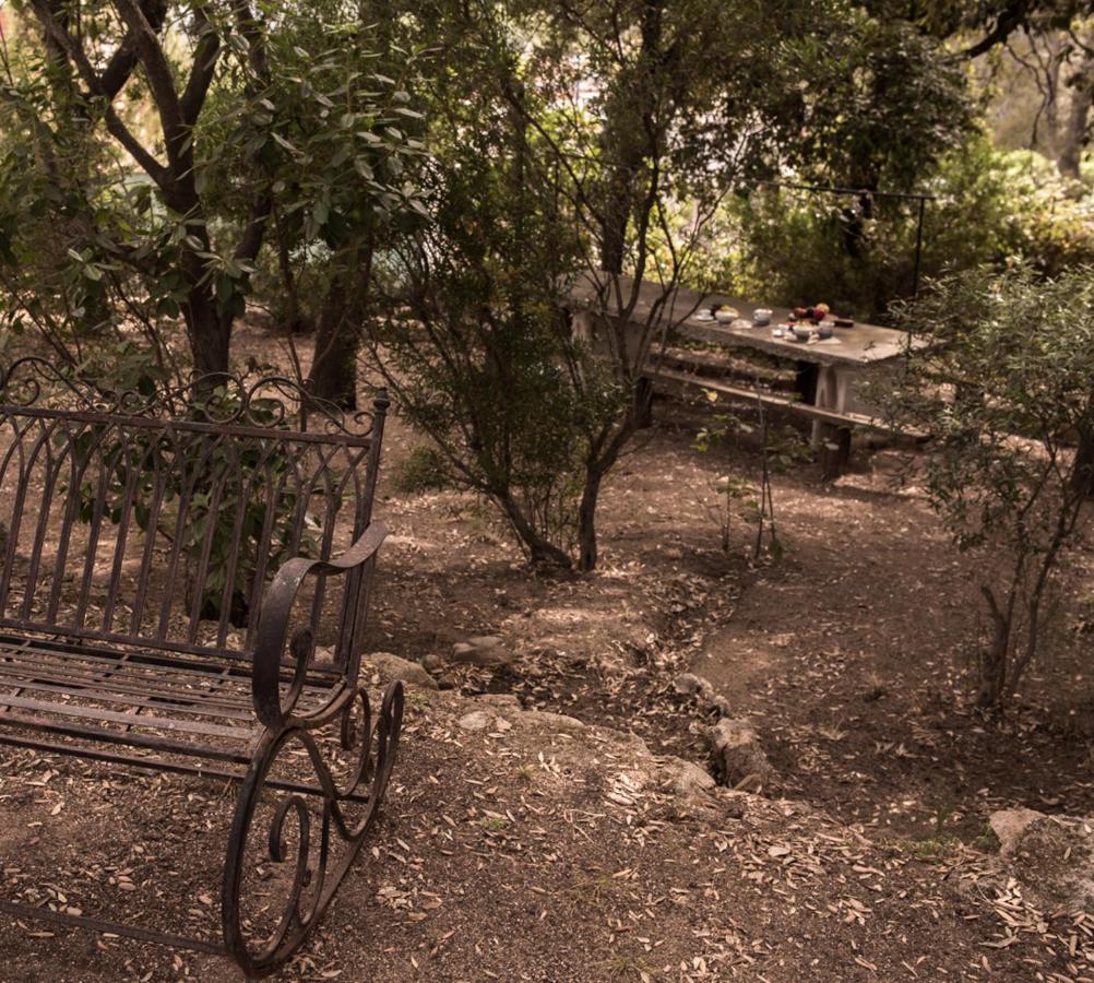 Vila Nel Giardino Dei Pesci Volanti San Pantaleo Exteriér fotografie